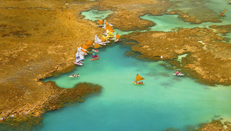 Piscinas Naturais de Porto de Galinhas