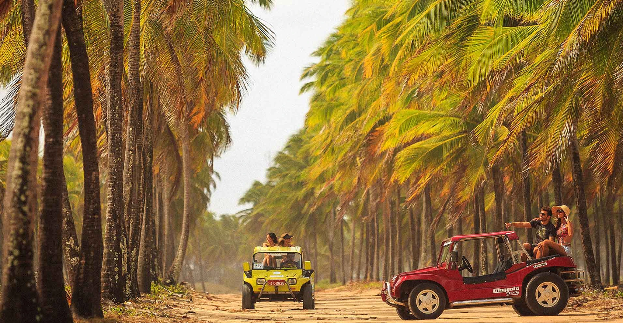 Passeio de Buggy no coqueiral de Maracaípe