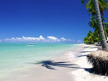 Passeio para Praia dos Carneiros pela Porto de Galinhas Tours