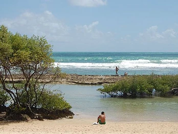 Passeio Praias do Cabo - Gaibu
