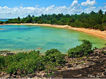 Passeio Ilha de Santo Aleixo
