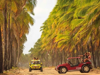 Passeios a partir de Porto de Galinhas - Passeio de Buggy