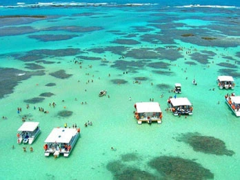 Tranfers em Porto de Galinhas - Maragogi