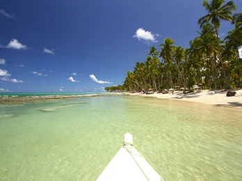 Praia dos Carneiros - Aguas Cristalinas